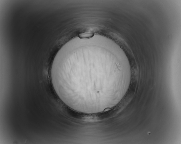 X0000087590415200705251906