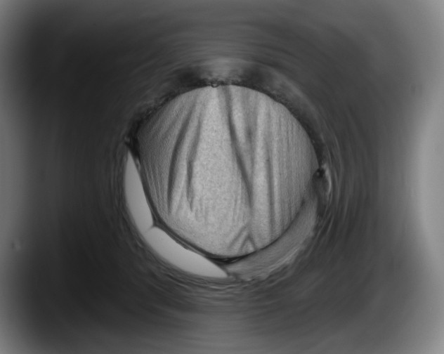 X0000087590416200705251906