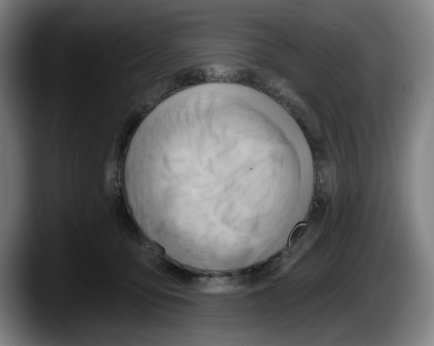 X0000087590419200705251906