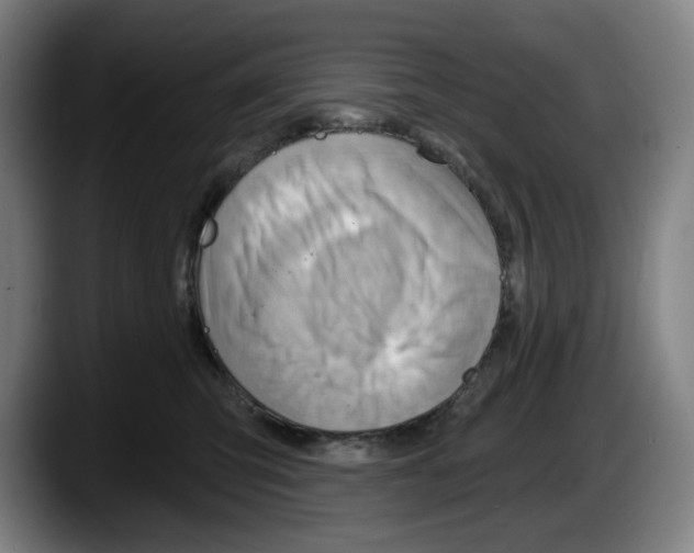 X0000087590423200705251906