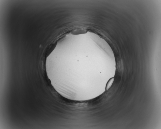X0000087590426200705251906