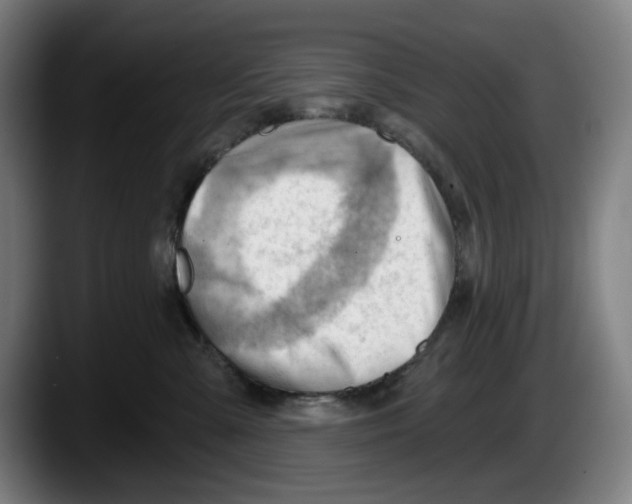 X0000087590427200705251906