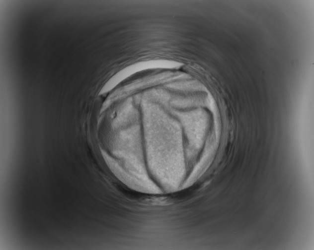 X0000087590428200705251906