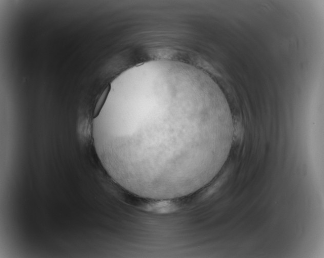 X0000087590431200705251905