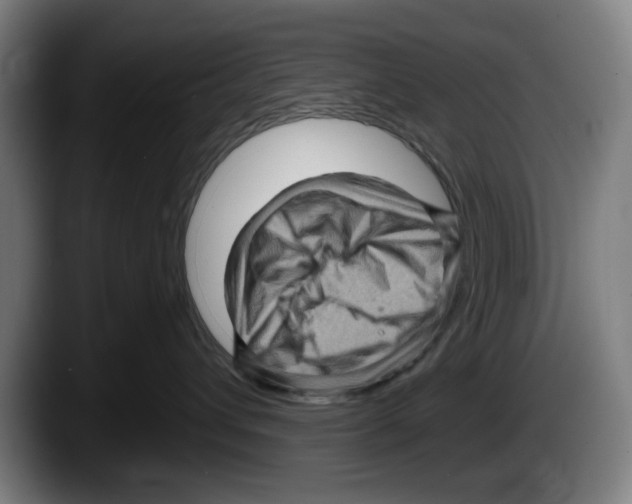 X0000087590432200705251905