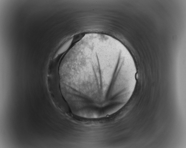 X0000087590434200705251905