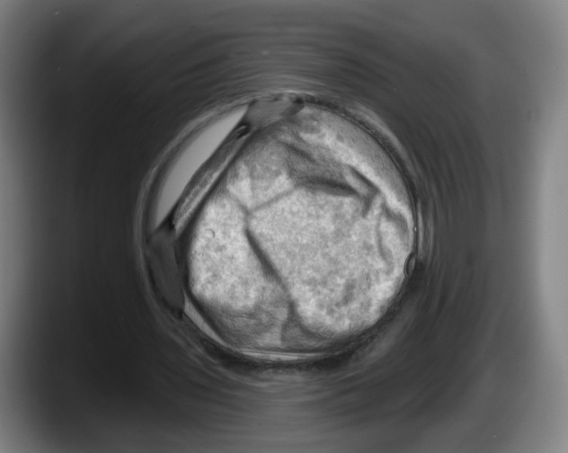 X0000087590435200705251905