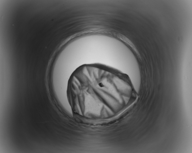 X0000087590436200705251905