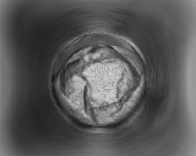 X0000087590437200705251905