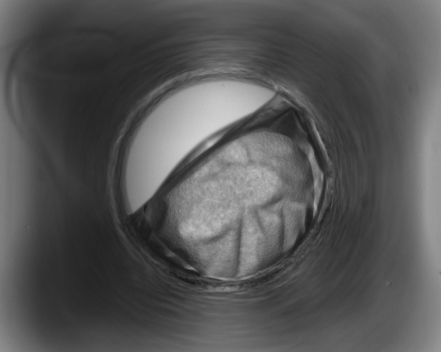 X0000087590440200705251905