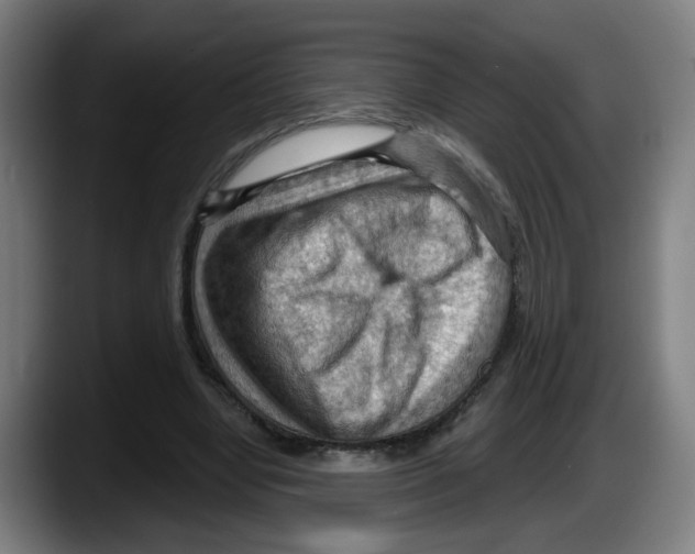 X0000087590442200705251905