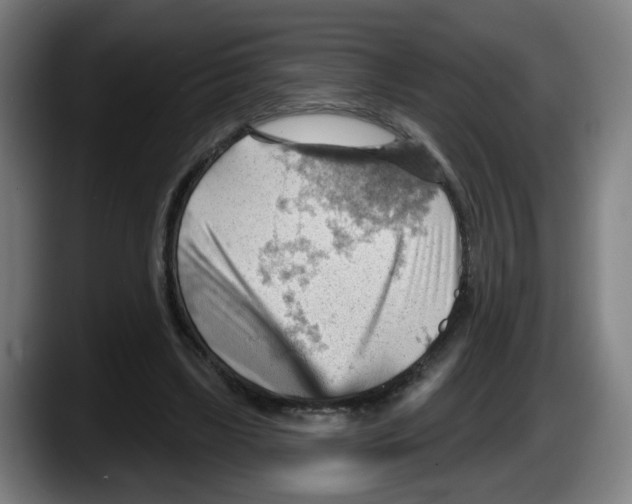 X0000087590443200705251905