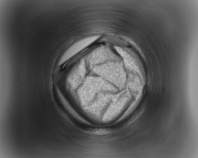 X0000087590445200705251905