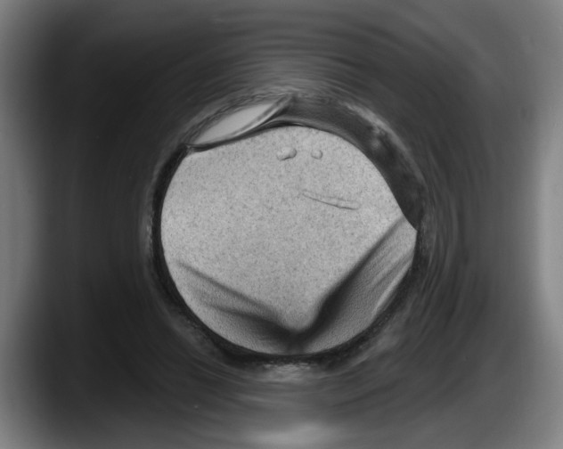 X0000087590446200705251905
