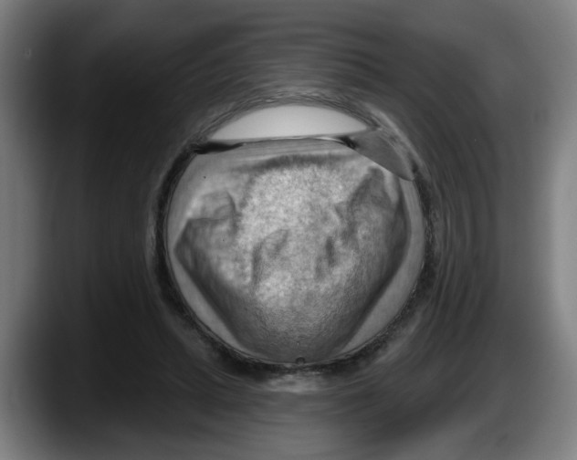 X0000087590447200705251905
