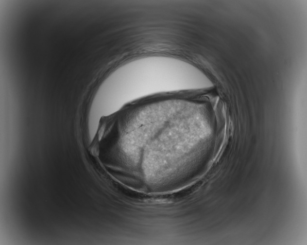 X0000087590448200705251905