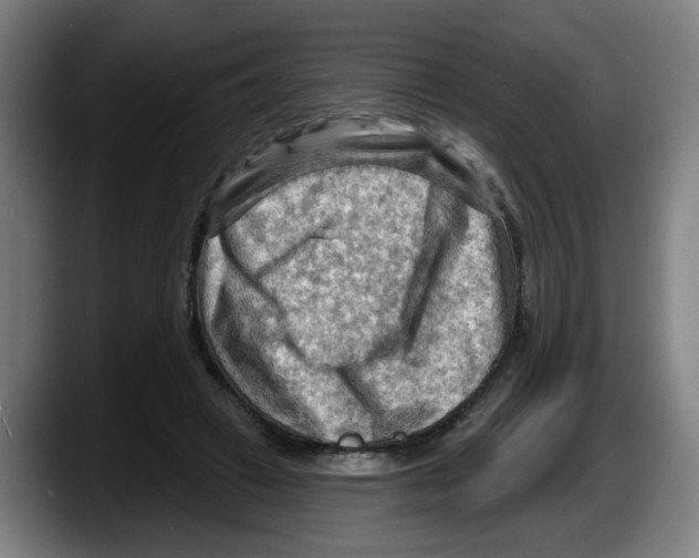 X0000087590449200705251905