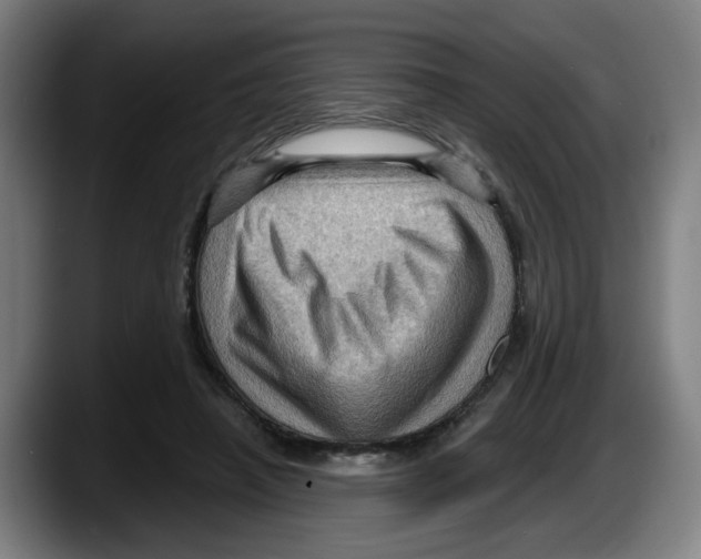 X0000087590450200705251905