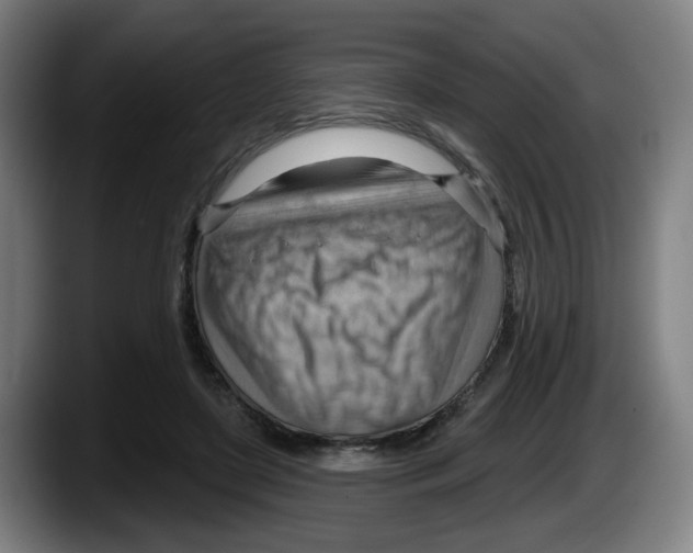 X0000087590451200705251905