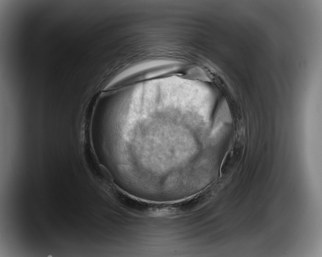 X0000087590452200705251905