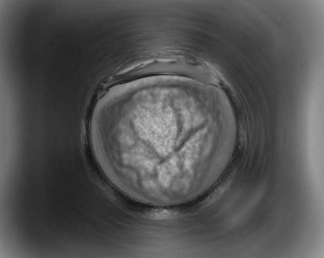 X0000087590453200705251905