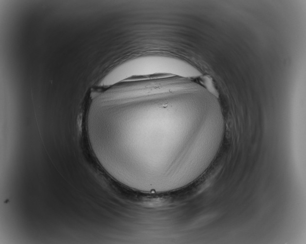 X0000087590454200705251905