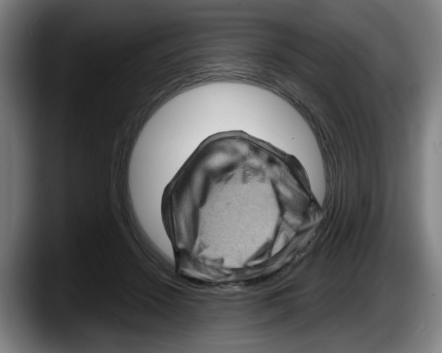 X0000087590456200705251905