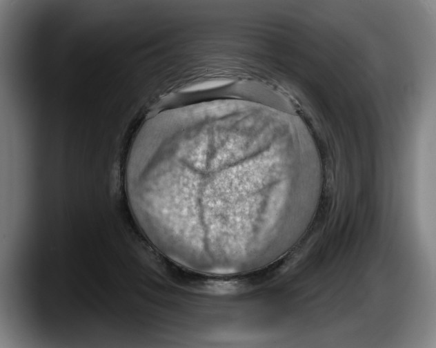 X0000087590457200705251905