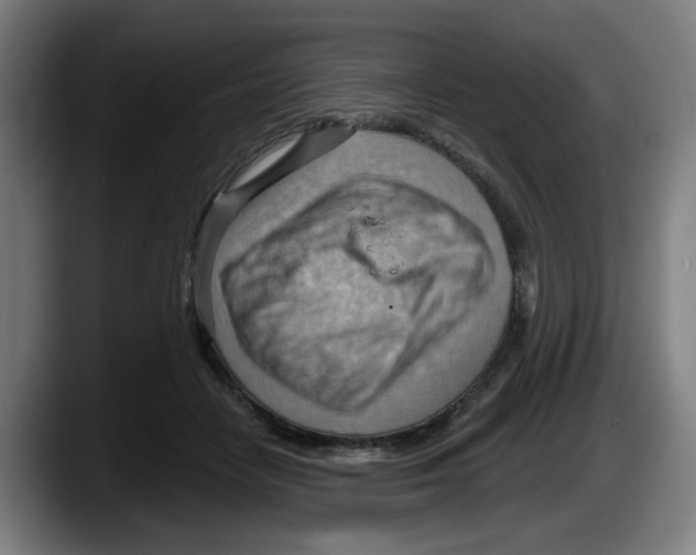 X0000087590458200705251905