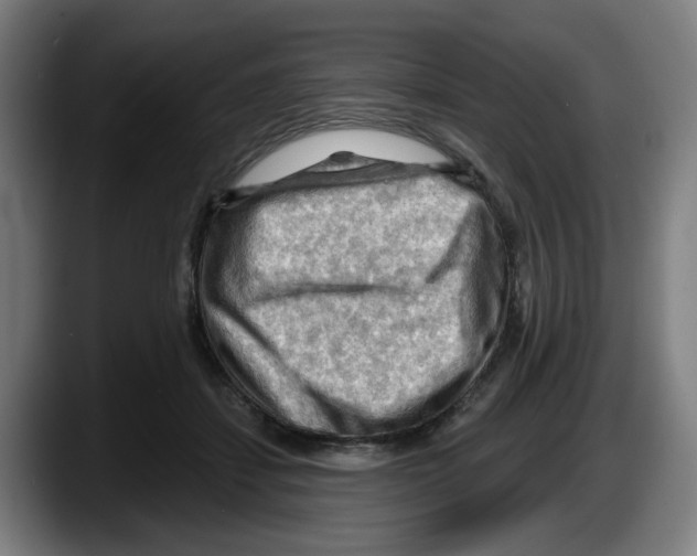 X0000087590459200705251905