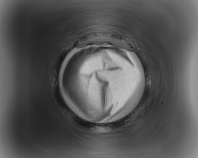 X0000087590464200705251905