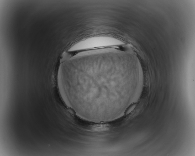 X0000087590465200705251905
