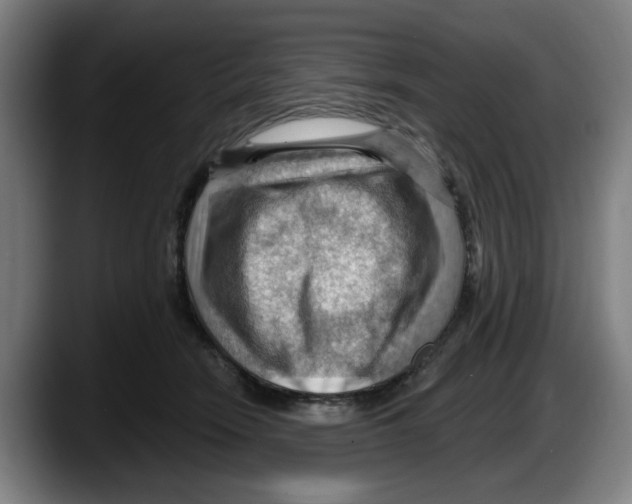 X0000087590466200705251905