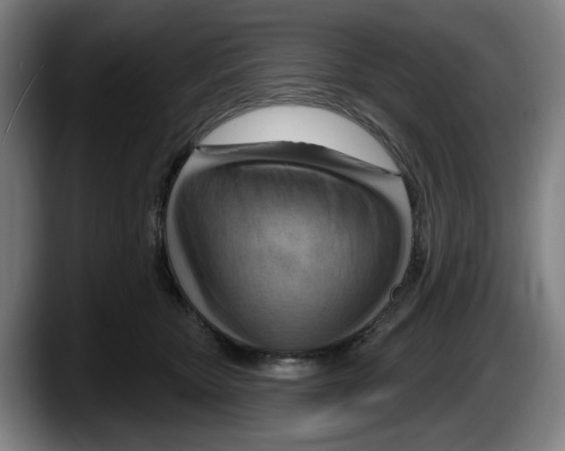 X0000087590467200705251905