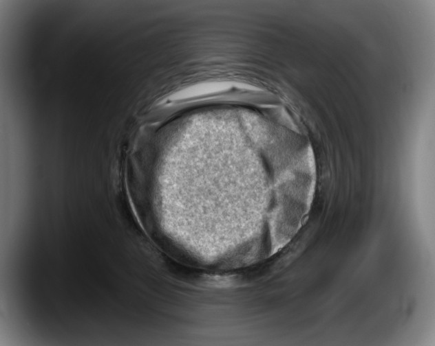 X0000087590469200705251905