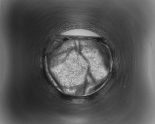 X0000087590470200705251905