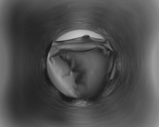 X0000087590471200705251905