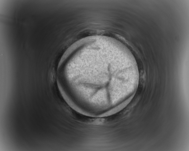 X0000087590474200705251905