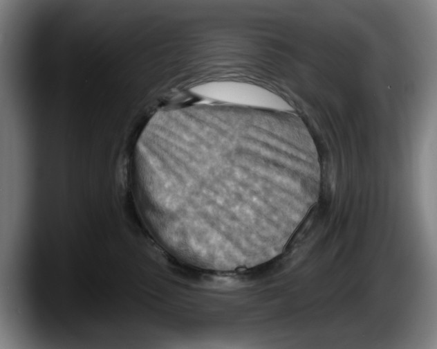 X0000087590475200705251905