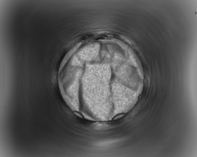 X0000087590477200705251905