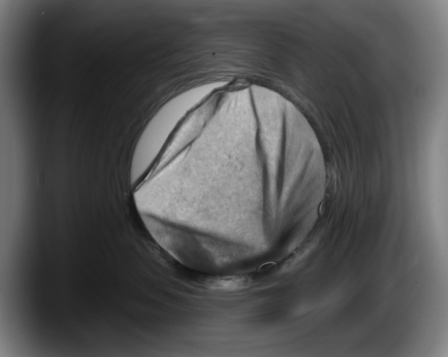 X0000087590479200705251905