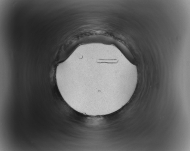 X0000087590480200705251905