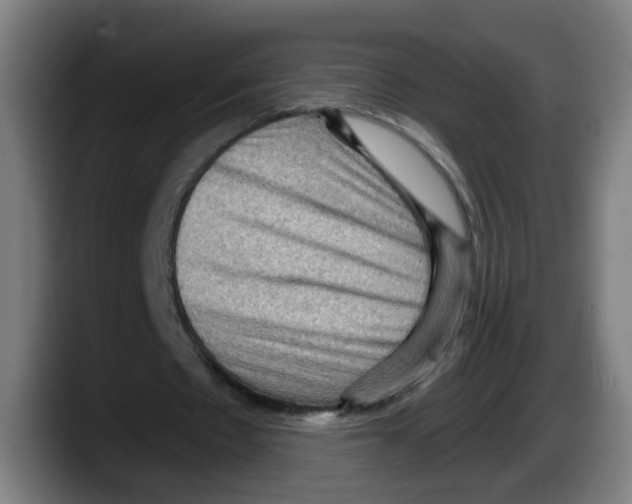 X0000087590481200705251905