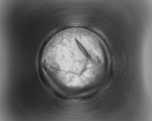 X0000087590482200705251905