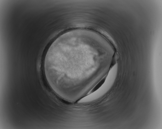 X0000087590483200705251905