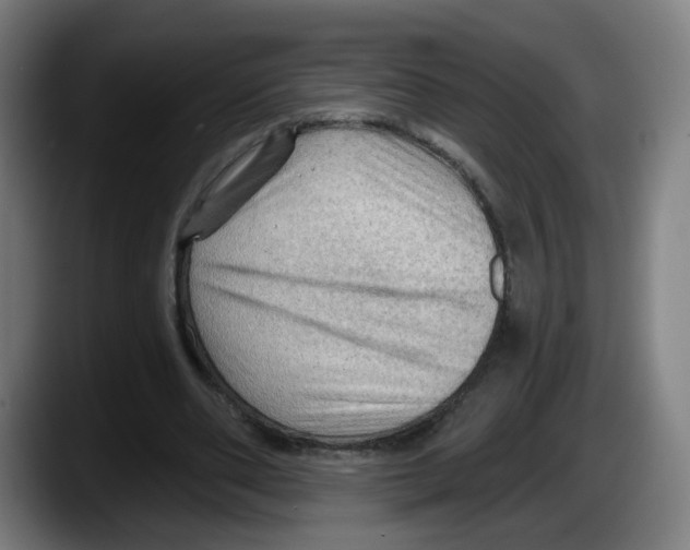 X0000087590486200705251905