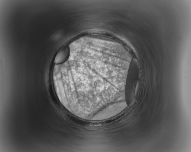 X0000087590487200705251905