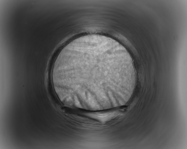 X0000087590488200705251905