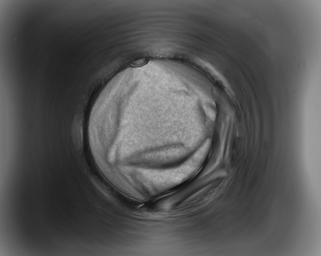 X0000087590493200705251905