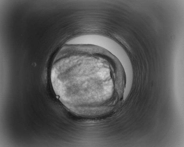 X0000087590494200705251904